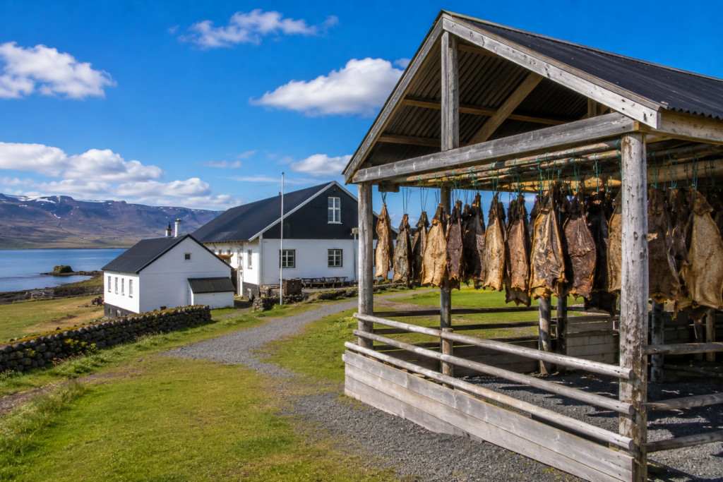 Bjarnarhöfn Shark Museum drying shed on the Snæfellsnes Peninsula
