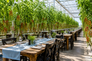 Friðheimar tomato greenhouse restaurant interior Iceland
